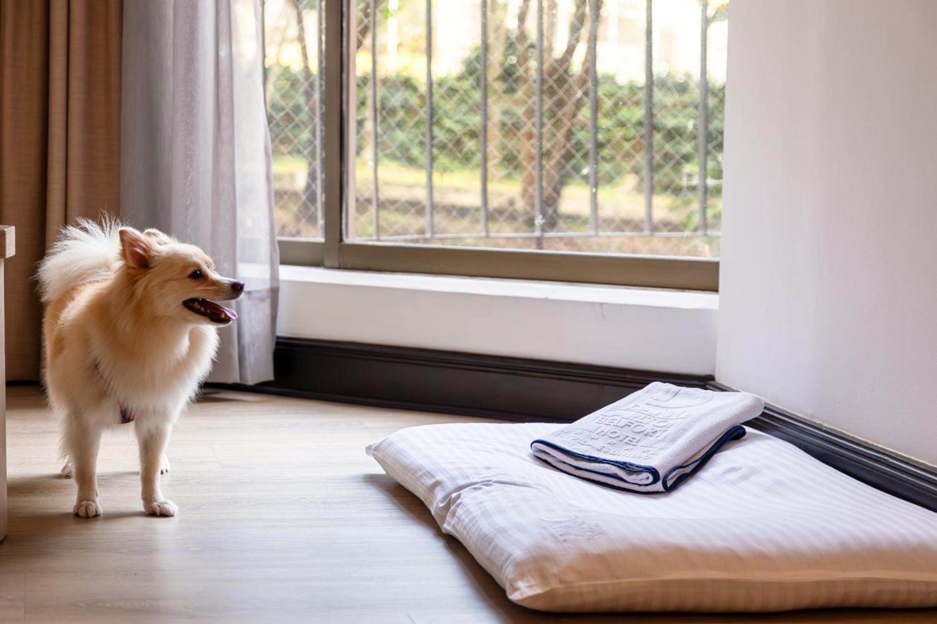 Hotel Dann Carlton Belfort Medellin Ngoại thất bức ảnh A dog bed